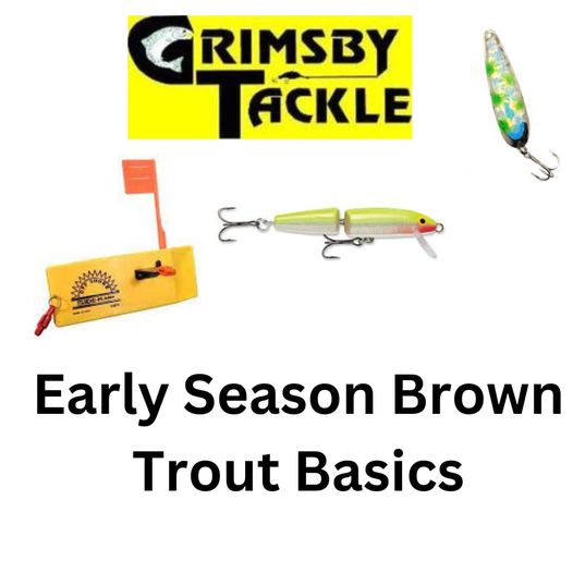 EARLY SEASON BROWN TROUT BASICS