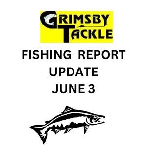 FISHING REPORT UPDATE - MON JUNE 3