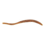 BERKLEY POWERBAIT 3" TROUT WORM