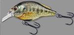 LIVE TARGET BLUEGILL CRANKBAIT