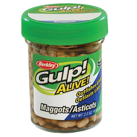 BERKLEY MAGGOTS GULP WHITE