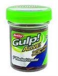 BERKLEY GULP ALIVE 1" PINCHED CRAWLER