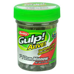 BERKLEY GULP! ALIVE! 1" MINNOW JAR