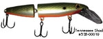 JOE BUCHER DEPTH RAIDER 8" JOINTED